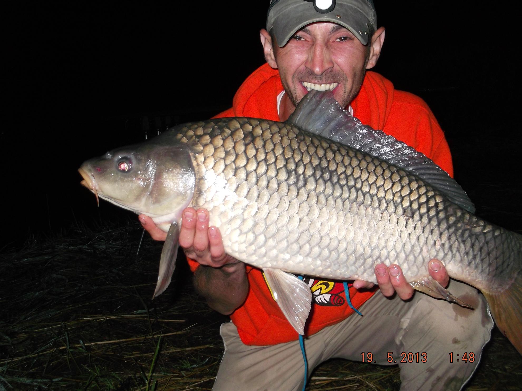 noaptea partea a ll - dscf0626.JPG